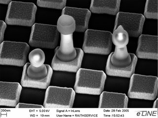 Illustration for article titled Nanometer-Wide PicoToilet, Plus a Gallery of Micrographs